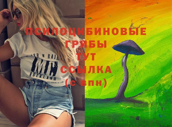 крисы Армянск
